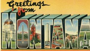 Postcard  Greetings from Montana            R3