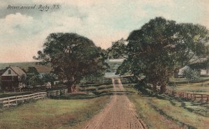 Vintage Postcard 1910's Drives around Digby N.S. Nova Scotia Canada CAN