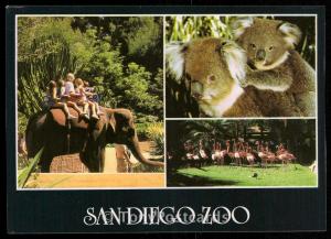 The San Diego Zoo