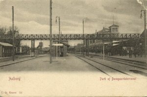 denmark, AALBORG ÅLBORG, Banegaardsterrænet, Railway Station (1899) Postcard