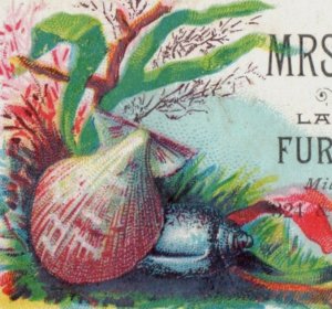 1880s Mrs. L. Burgauer Furnishing Goods Seashells Coral F136