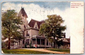 Pak Park Illinois 1909 Postcard The Scoville Homestead Mansion