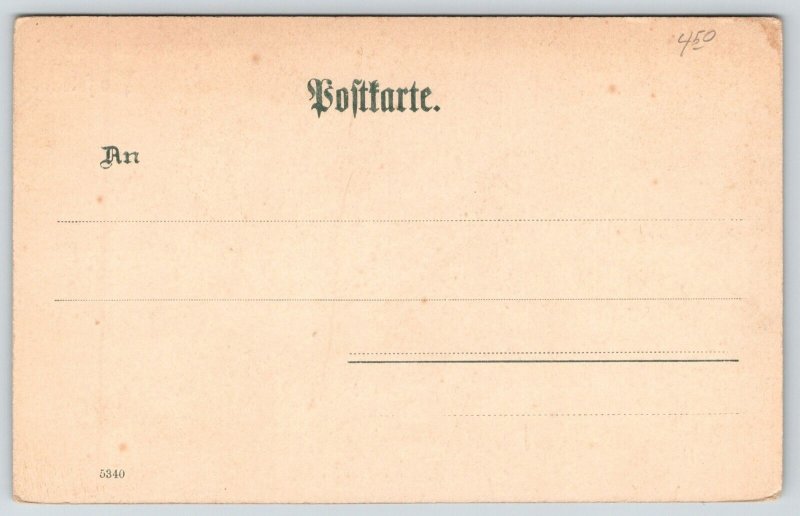 Gruss Aus Wolfstein Germany~Birdseye Valley Village~Mountains~c1905 Postcard