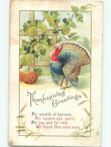 Divided-Back THANKSGIVING SCENE Great Postcard AA0640