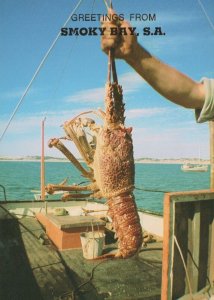 Australia Postcard - Greetings From Smoky Bay - Crayfish (Rock Lobster) RR9279