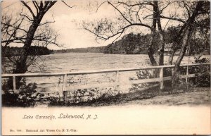 View of Lake Carasaljo, Lakewood NJ Undivided Back Vintage Postcard Q63