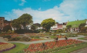 Piano Classical Music Musical Instrument Shop at Worthing Sussex 1970s Postcard