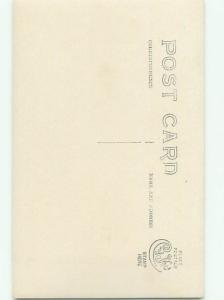 Old rppc NATURE SCENE Great Postcard AB0622