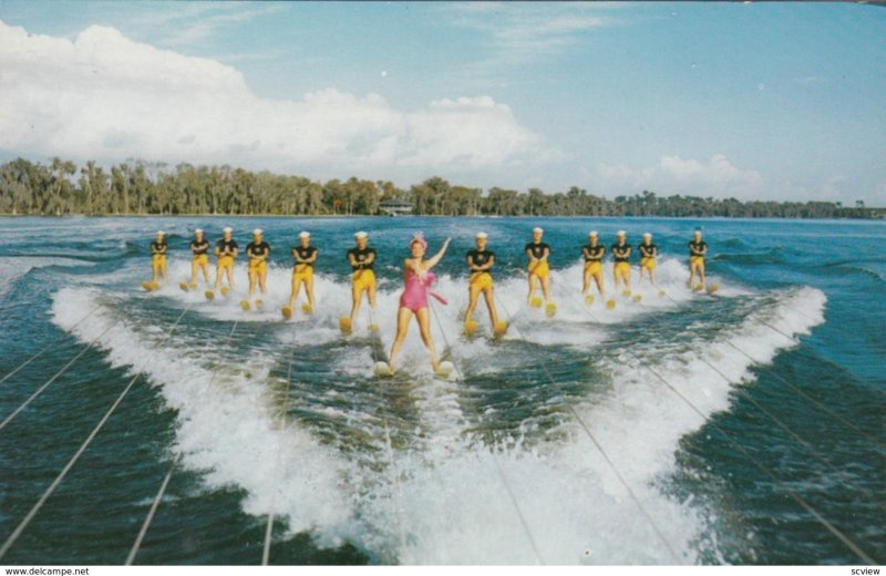 Water-Skiing , Florida , 50-60s ; #2