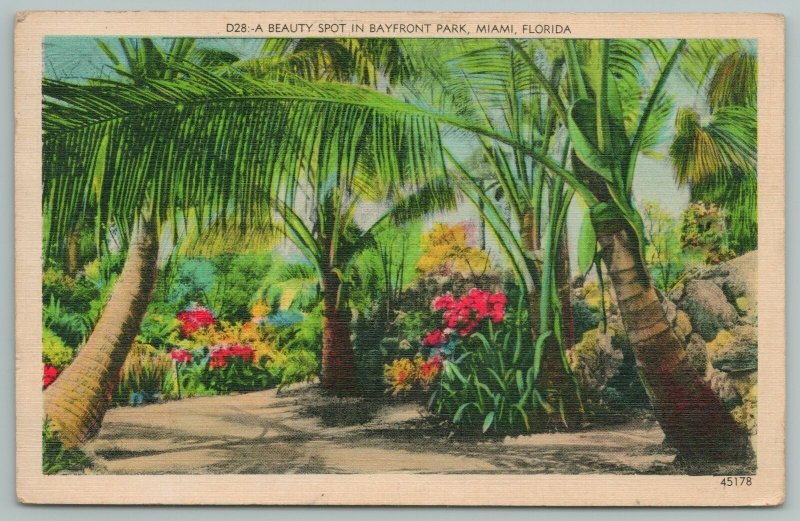 Miami Florida~Palm Tree Beauty Spot In Bayfront Hotel~Vintage Postcard