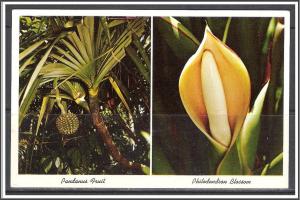 Florida, Sarasota - Jungle Gardens Flowers - [FL-072]