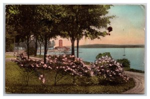 Lakefront View Lake Chautauqua New York Albertype Postcard S25