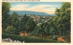 Gloversville NY-New York, Bird's Eye View Meyer's Park  Vintage Postcard