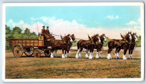 Omaha Nebraska Postcard Union Stock Yards Company Horses Scene c1920's Antique