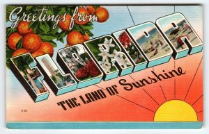 Greetings From Florida The Land Of Sunshine Large Letter Linen Postcard Oranges