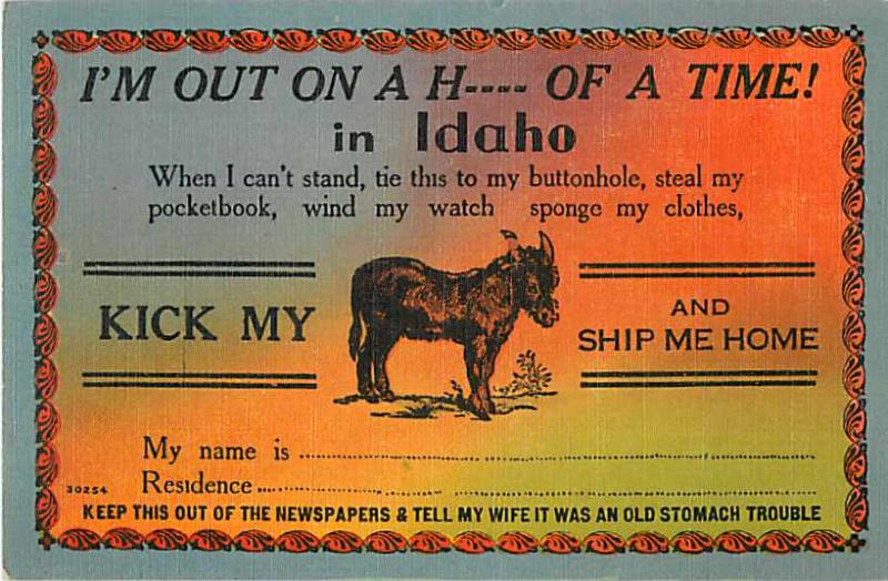 I'm Out On A H---- Of A time in Idaho Kick My....., Linen PC