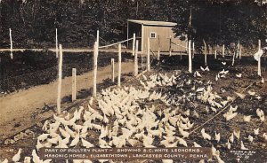 Part of Poultry Plant, Masonic Homes real photo - Elizabethtown, Pennsylvania...