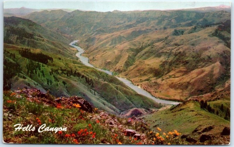 Postcard - Hells Canyon of the Snake River