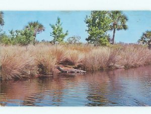 Pre-1980 RIVER SCENE Ormond Beach Florida FL AE5944