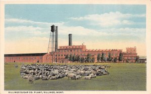J42/ Billings Montana Postcard c1910 Sugar Company Factory  25