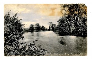 NY - Norwich. Chenango River     (stain, corner missing)