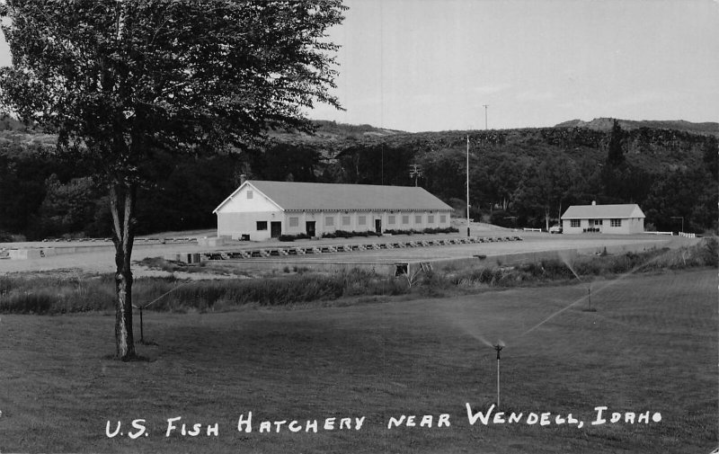 J76/ Wendell Idaho RPPC Postcard c1930-50s U.S. Fish Hatchery  383