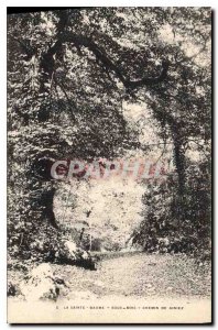 Old Postcard La Sainte Baume Sous Bois path Giniez