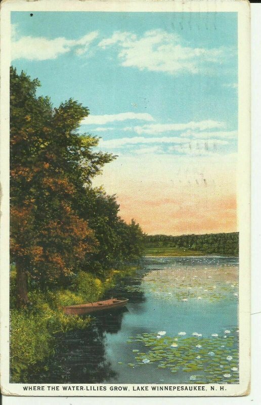 Lake Winnepesaukee, N.H. Where The Water Lilies Grow Winnipesaukee