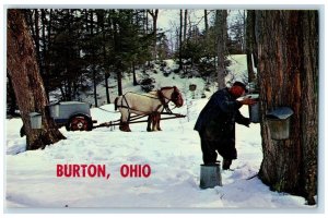 1960 Winter Snow Bird Feeder Trees Burton Ohio Vintage Antique Unposted Postcard