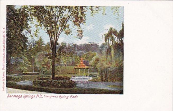 New York Saratoga Springs Congress Spring Park
