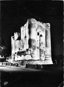 BR7437 Niort Donjon Illumine   france