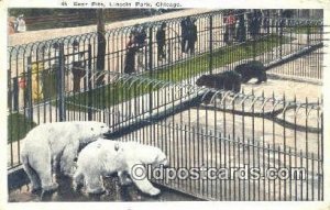 Lincoln Park Zoo, Chicago, Ill, USA Bear 1917 crease left top corner tip, a l...