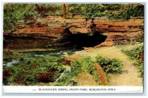 c1910 Blackhawk Spring Crapo Park Exterior Burlington Iowa IA Vintage Postcard
