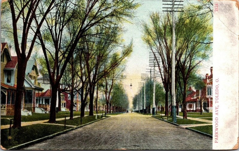 Postcard Parkwood Avenue in Toledo, Ohio~3437