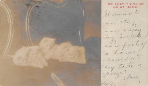 Do they think of us at home Cat 1906 writing on front