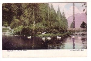 Scene in Stanley Park, Vancouver, British Columbia, Warwick 4433