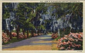 Bonaventure Cemetery - Savannah, Georgia GA  