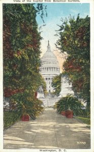 USA Vista of the Capitol from Botanical Gardens Washington DC Postcard 07.28