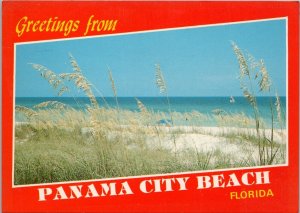 Greetings from Panama City Beach FL Postcard PC394