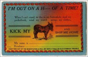 Humor - I'm Out on a H---- of a Time - Donkey