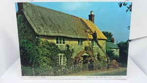 Vintage Postcard A Thatcher at Work on a Dorset Cottage Guys Marsh