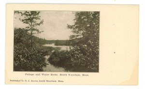 MA -  South Wareham. Foliage & Water Scene ca 1905