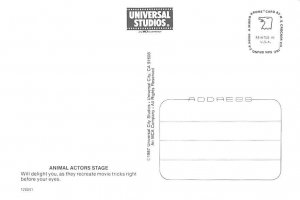 Universal Studios   California 