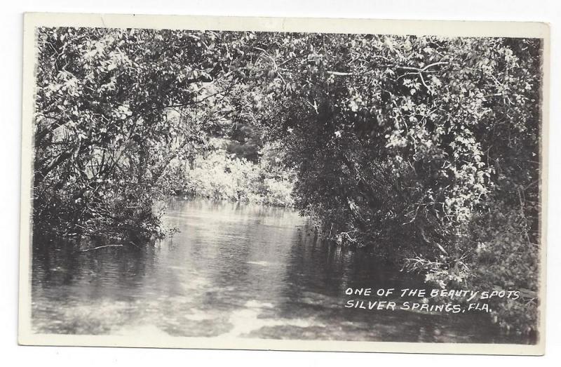 RPPC FL Silver Springs Beauty Spot Real Photo Postcard