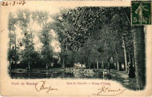 CPA Foret de Meudon - Bois de Chaville - Etang d'Ursine (1323035)