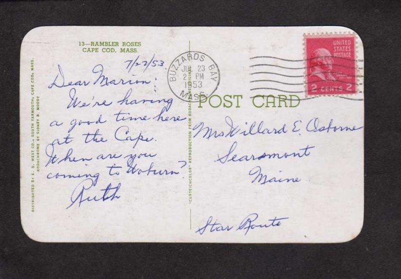 MA Rambler Rose Bushes Roses Cottage House Cape Cod Massachusetts Postcard