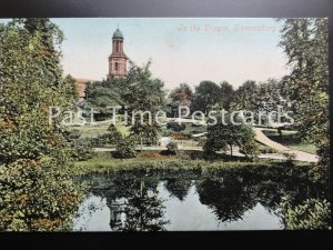 Shropshire SHREWSBURY In The Dingle c1908 by Valentine