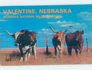 Chrome ANIMALS SCENE Valentine Nebraska NE AH3857