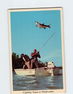 Postcard A fighting Tarpon in Florida waters Everglades National Park FL USA