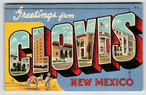 Greetings From Clovis New Mexico Large Letter Postcard Linen Curt Teich Donkey